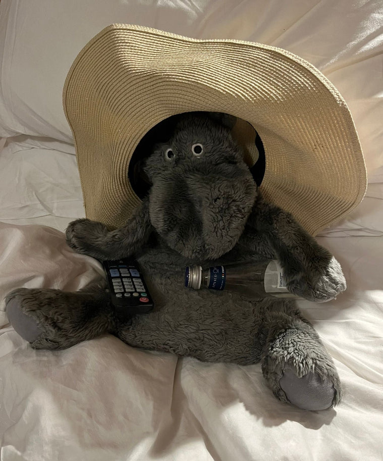 Stuffed animal wearing a large straw hat on a white surface